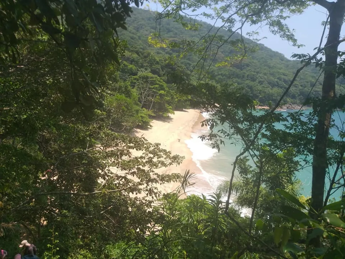 Praia do Deserto, em Ubatuba, vista de dentro da mata durante a Trilha das Sete Praias